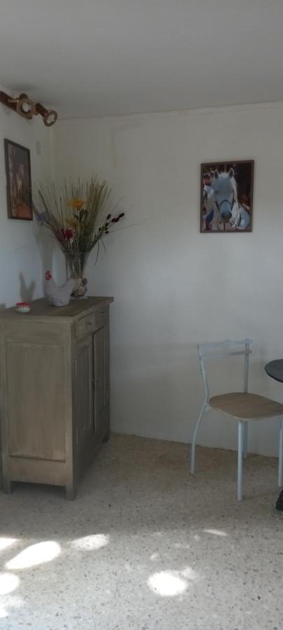 Petite Maison Dans La Campagne A 10 Mn A Pied Du Centre Ville アルル エクステリア 写真