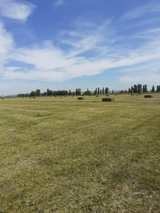 Petite Maison Dans La Campagne A 10 Mn A Pied Du Centre Ville アルル エクステリア 写真