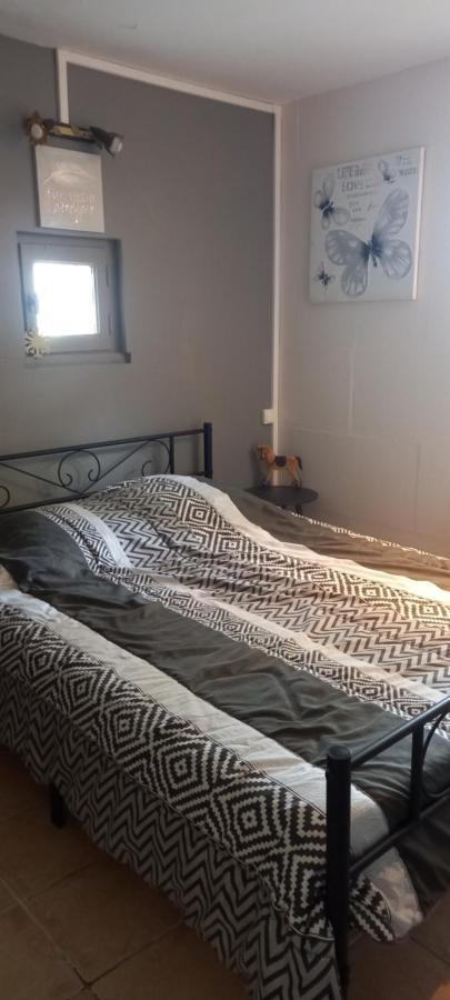 Petite Maison Dans La Campagne A 10 Mn A Pied Du Centre Ville アルル エクステリア 写真