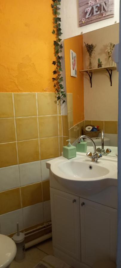 Petite Maison Dans La Campagne A 10 Mn A Pied Du Centre Ville アルル エクステリア 写真